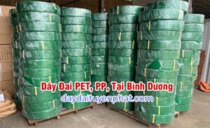 day dai nhua tai binh duong
