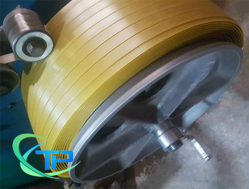 Dây đai nhựa pet màu vàng