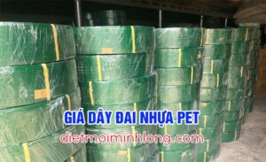 gia day dai pet